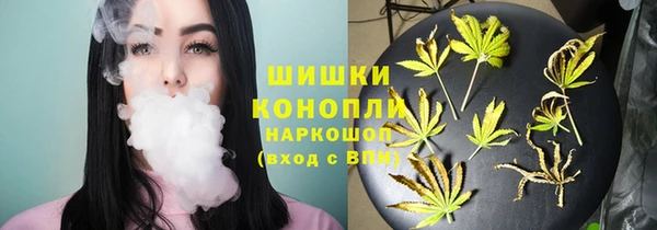 СК Гусь-Хрустальный
