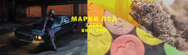 первитин Гусев