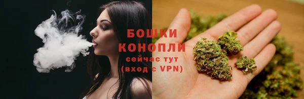 СК Гусь-Хрустальный