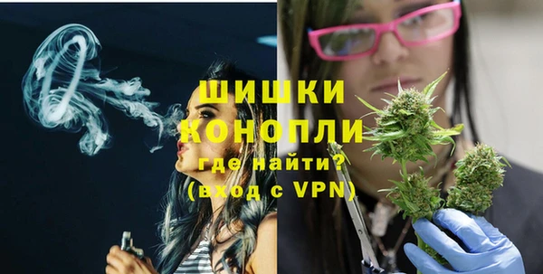 первитин Гусев