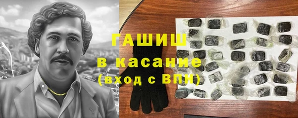 первитин Гусев