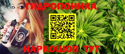 индика Балашиха