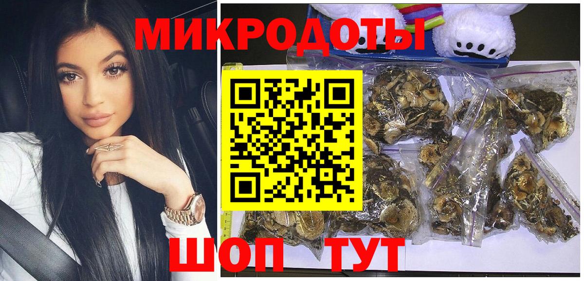 Псилоцибиновые грибы Psilocybe  Волжский  Галлюциногенные грибы мухоморы 