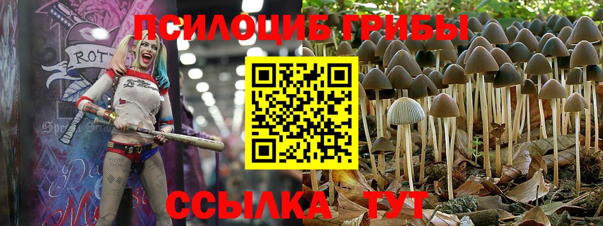 Волжский  Псилоцибиновые грибы Magic Shrooms  Вход с VPN 