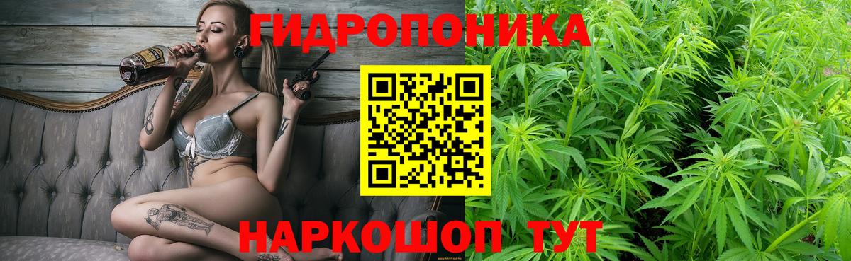 Шишки марихуана ГИДРОПОН Волжский