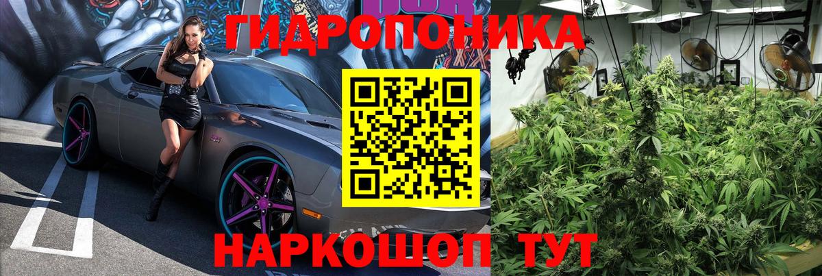Волжский  Конопля план  Вход с VPN  Каннабис сатива  Каннабис OG Kush 